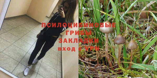 прущая мука Алзамай