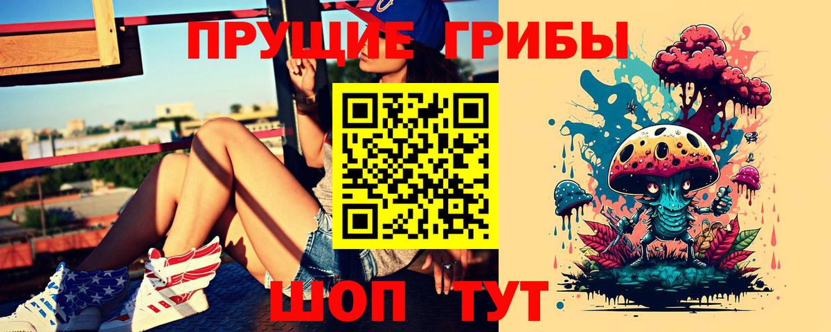 где купить наркоту  Вход с VPN  Туймазы  Галлюциногенные грибы MAGIC MUSHROOMS  Галлюциногенные грибы MAGIC MUSHROOMS 